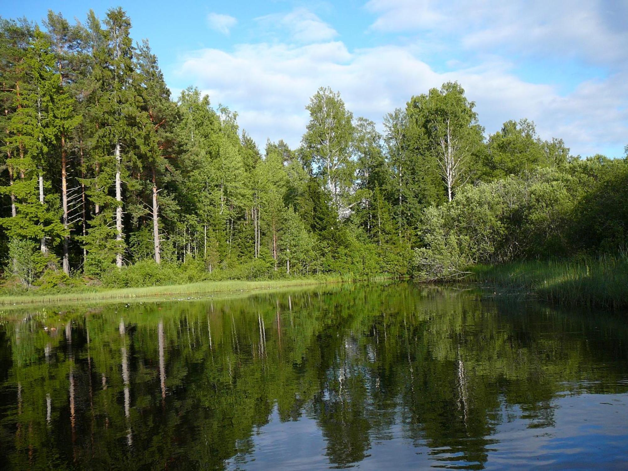 Loenneberga Vandrarhem & Hostel Экстерьер фото